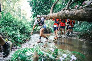 BIB: 
                            <button type="button" onclick="openModal(25469331)" class="btn btn-primary btn-sm float-right btn-popup" data-toggle="modal" data-target=".modal-high-quality">
                        <i class="fas fa-shopping-cart"></i> Add to Cart
                    </button>
                                            <button type="button" onclick="isThisMe(25469331, true)" class="btn btn-success btn-sm float-right btn-popup btn-isme hidden" data-toggle="tooltip" data-placement="bottom" title="นี่คือรูปของคุณใช่ไหม คลิกที่นี่เพื่อเอาเข้าอัลบั้ม">
                        <i class="fas fa-plus"></i> Add to album
                    </button>
                    <button type="button" onclick="isThisMe(25469331, false)" class="btn btn-warning btn-sm float-right btn-popup btn-isnotme hidden">
                        <i class="fas fa-ban"></i> Remove from album
                    </button>